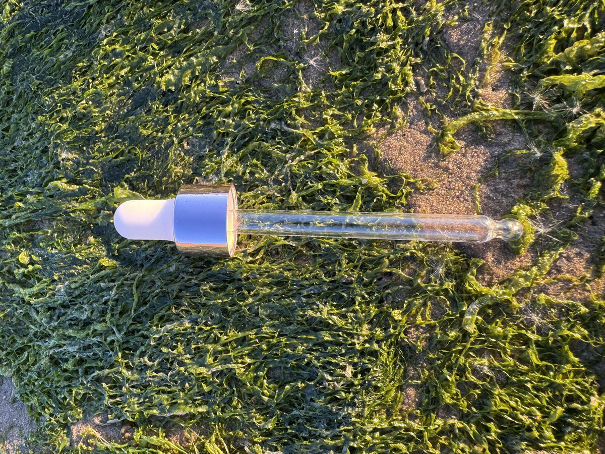 5ml White & Rose Gold Ball End Dropper Pipette